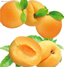 梅 梅干 食品包装素材 梅肉