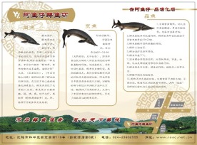 阿鱼仔鲟鱼坊餐饮海报未转曲文字可修改