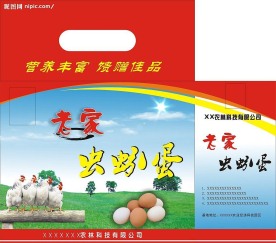 鸡蛋包装
