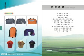 东莞市康泰旅行社有限公司宣传册(实力篇和刊首寄语)