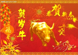 2009年春节图