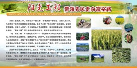 阳光工程展板