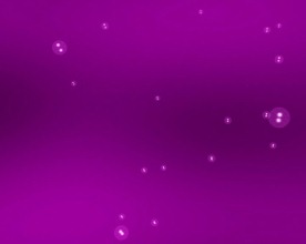 婚礼视频片头模板