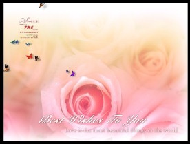 婚纱摄影背景分层图