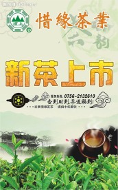 新茶上市