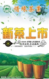 新茶上市