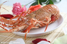 澳洲龙虾