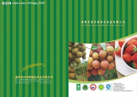 四季鲜绿色食品宣传画册封面与封底