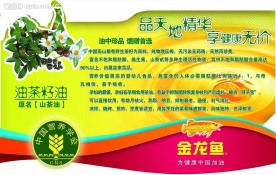 金龙鱼 山茶油