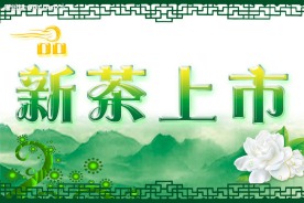 新茶上市