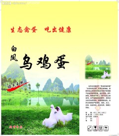 乌鸡蛋包装设计