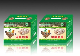 虫草鸡蛋包装箱