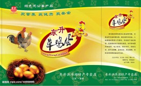 草鸡蛋包装