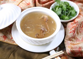 燕鲍翅 龙马炖鱼翅