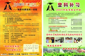 登科补习招生宣传单