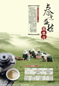 茶叶海报