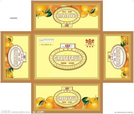 柑橘 桔子 胡柚 脐橙 水果包装箱