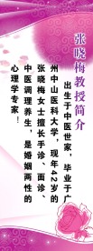 X展架模板
