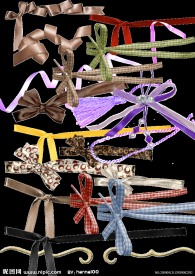 各类蝴蝶形包装带