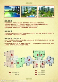 房地产彩页