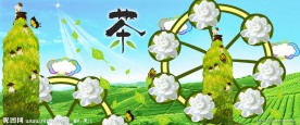 茉莉花茶广告