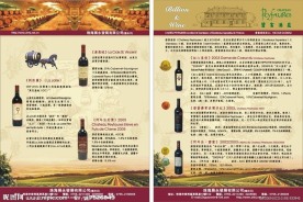 红酒宣传单曲线