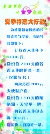 金梦美容院 X展架