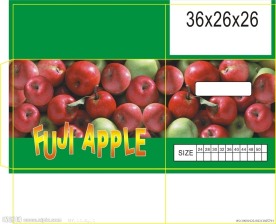 苹果包装 水果包装 蔬菜包装