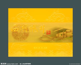 西湖龙井茶包装