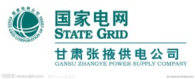 国家电网标志