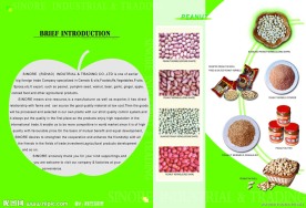 中意食品画册宣传