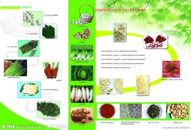 中意食品画册宣传