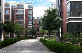 晨景房地产小区树木