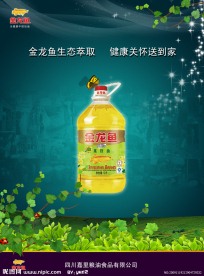 金龙鱼海报