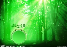 2009艺术模板 爱是永恒