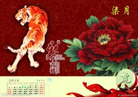 虎年牡丹花台历七月