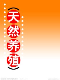 天然养殖 简单封皮设计模板