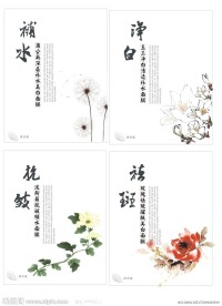 4款植物面膜包装