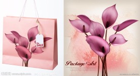 手提袋包装文化