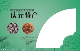 特产包装