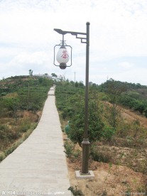 中国茶城 普洱 茶园 茶山