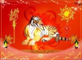 2010新年图