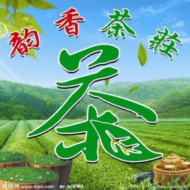 茶背景
