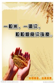 节约粮食看板