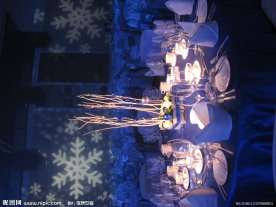 酒店 桌子 桌花 华艺 布衣 灯光 舞台 晚会 晚宴 中餐 西餐 咖啡 杯子 折巾 圣诞