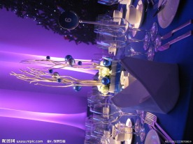 酒店 桌子 桌花 华艺 布衣 灯光 舞台 晚会 晚宴 中餐 西餐 咖啡 杯子 折巾 圣诞 雪花 雪