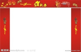 门 贺新春 春节 灯笼 虎年 2010年