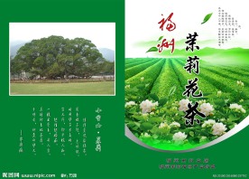 茉莉花茶宣传稿封面设计