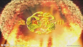 DVD婚礼视频通用片头