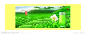 绿茶广告设计